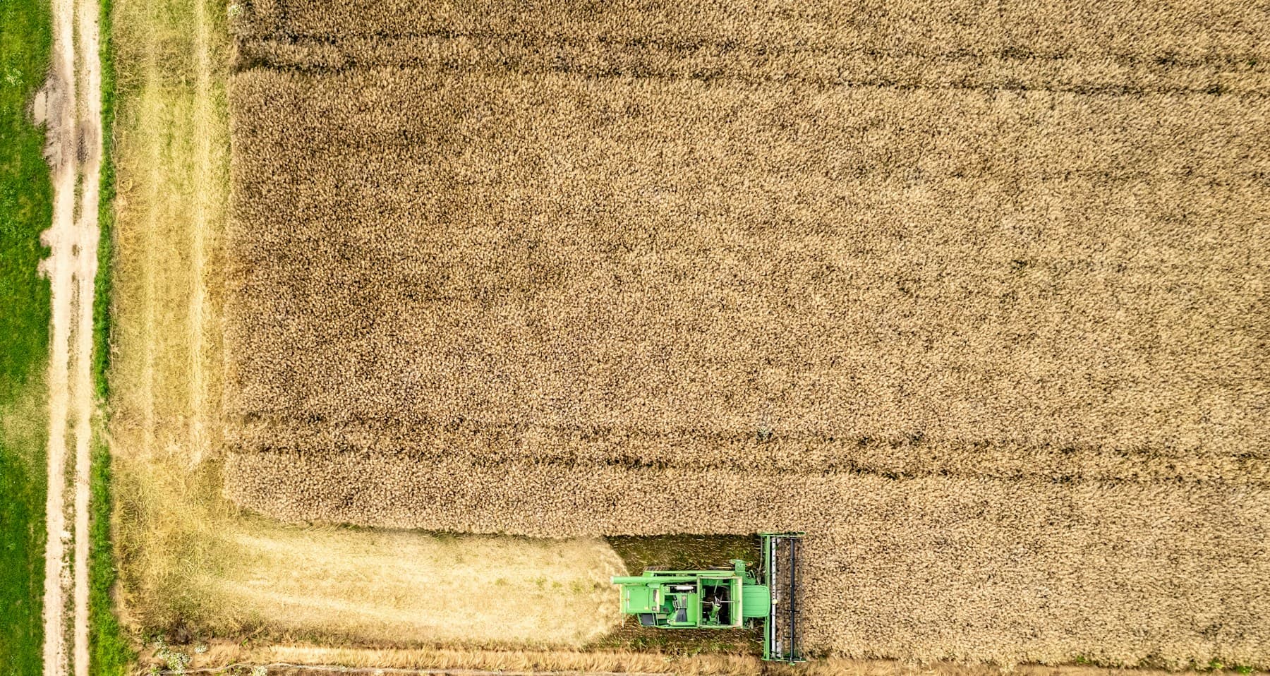 Aerial photograph of a grain harvest and agricultural feedstock