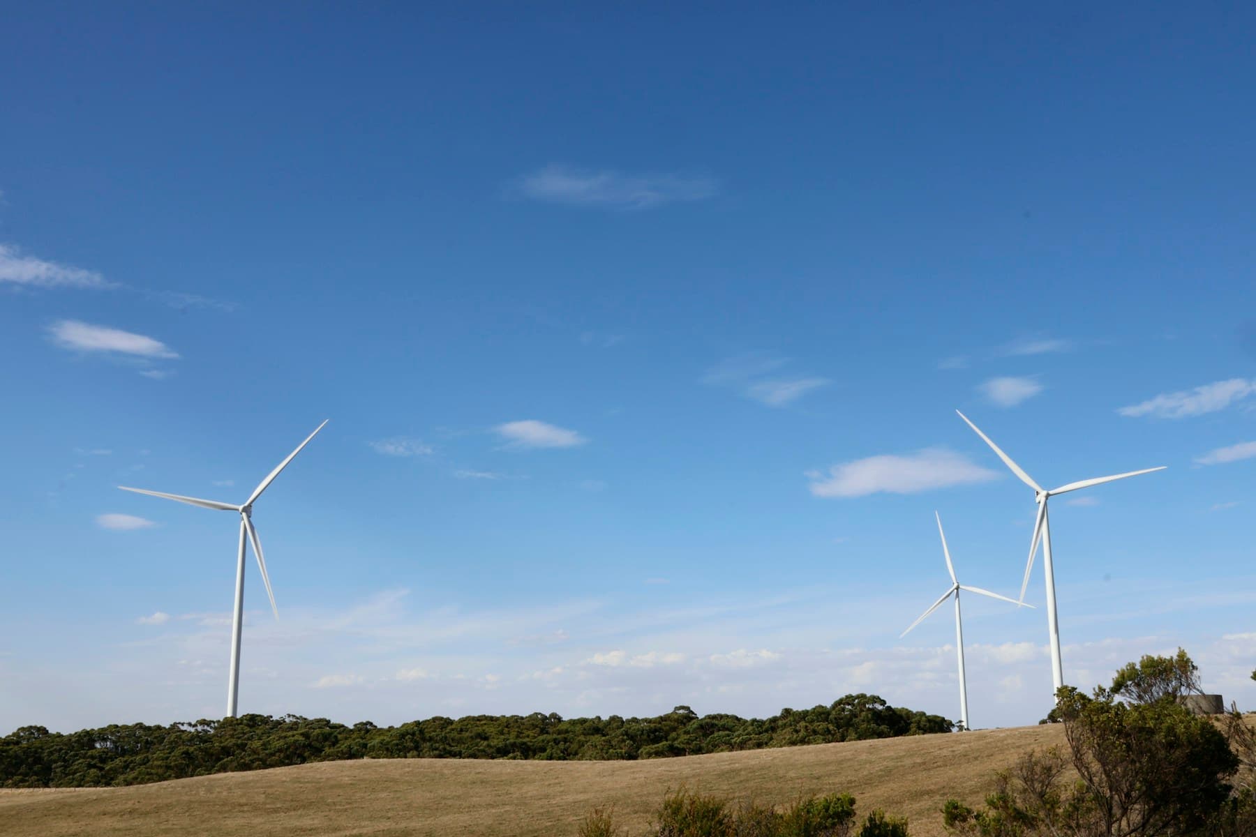 Renewable Energy